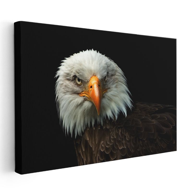 Kel Kartal - Keskin Bakışlı Özgürlük Simgesi Kanvas Tablo