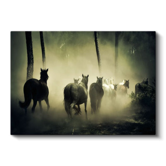 Vahşi Atlar - Sisli Ormanda Özgür Koşu Kanvas Tablo