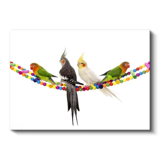 Renkli Tünekçiler - Boncuklu İpte Papağan Dostlar Kanvas Tablo