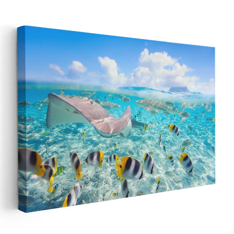 Vatoz Yolculuğu - Turkuaz Sularda Süzülüş Kanvas Tablo