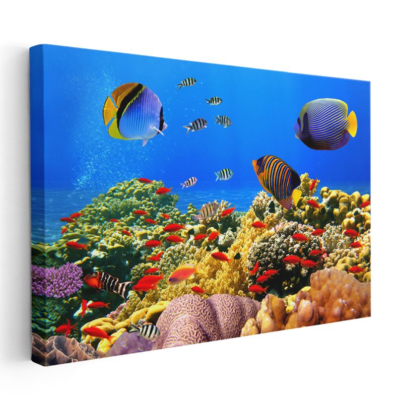 Mercan Cenneti - Renkli Balıkların Dansı Kanvas Tablo