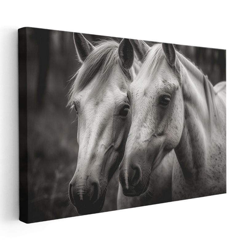 Beyaz Atlar - Siyah Beyaz Dünyada İki Dost Kanvas Tablo