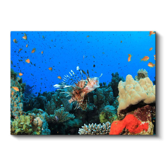 Aslan Balığı - Mercan Resifinin Gösterişli Avcısı Kanvas Tablo