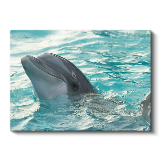 Yunus Portresi - Mavi Sulardaki Gülümseme Kanvas Tablo