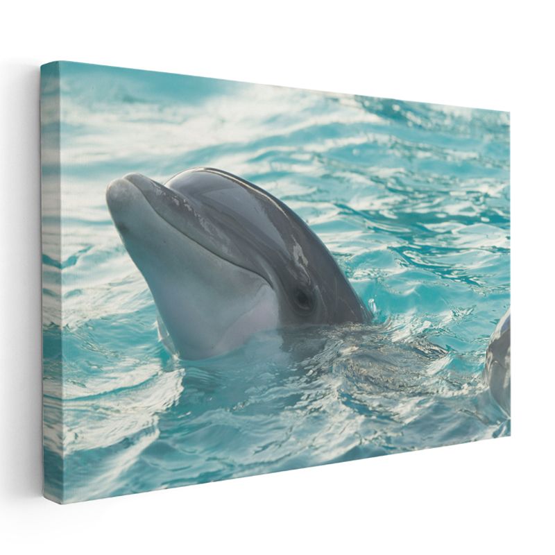 Yunus Portresi - Mavi Sulardaki Gülümseme Kanvas Tablo