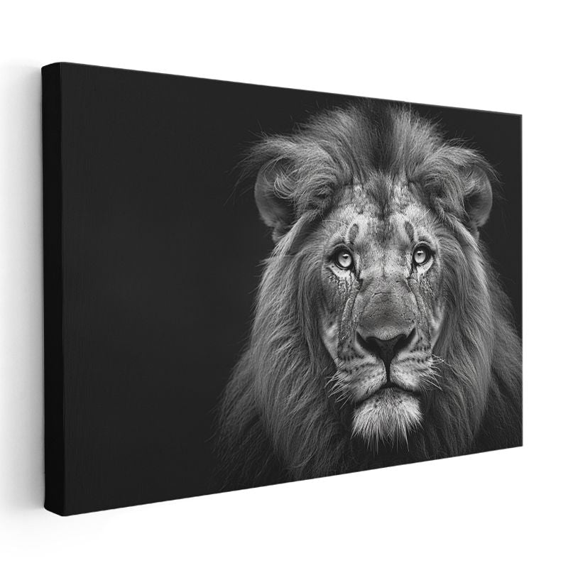 Aslan Portresi - Siyah Beyaz Heybetli Bakış Kanvas Tablo