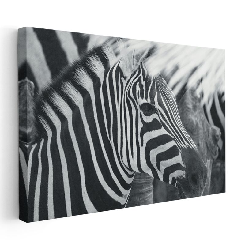 Zebra Deseni - Çizgilerin Mükemmel Uyumu Kanvas Tablo