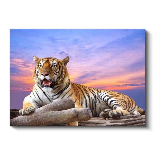 Dinlenen Kaplan - Gözleri Parlayan Çizgili Güzellik Kanvas Tablo