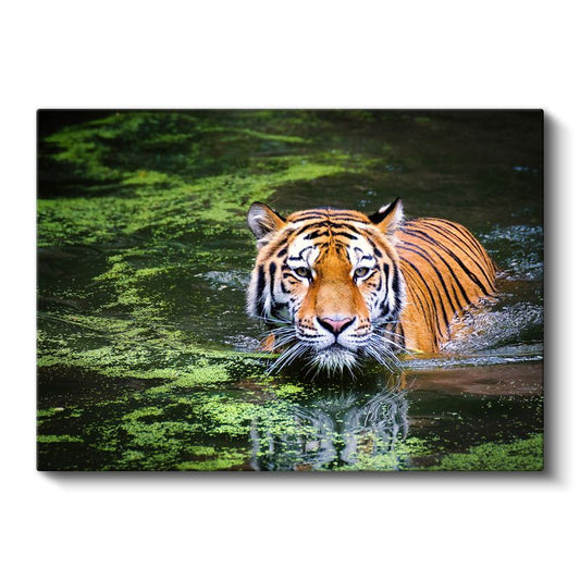 Suda Kaplan - Yeşil Yansımalar Arasında Avcı Kanvas Tablo