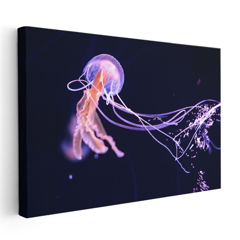 Mor Denizanası - Karanlık Sularda Parlayan Işık Kanvas Tablo