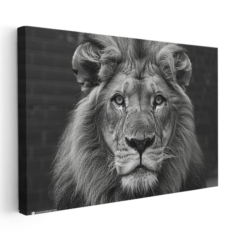 Aslan Portresi - Siyah Beyaz Asaletin Yüzü Kanvas Tablo