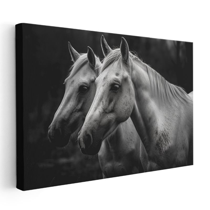 Beyaz Atlar - Siyah Beyaz Dostluğun Portresi Kanvas Tablo