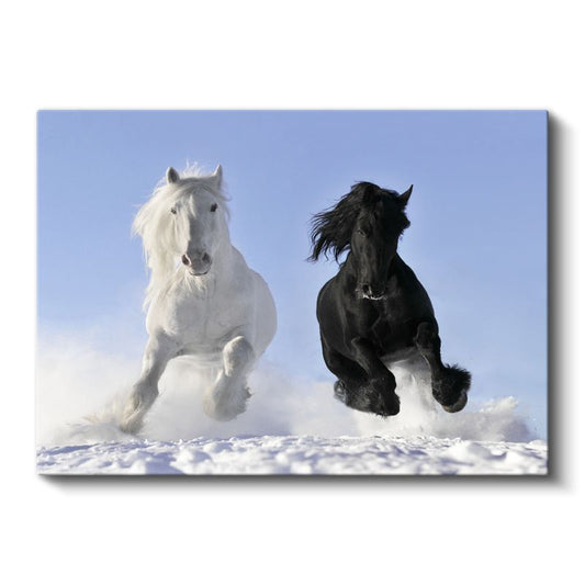 Siyah ve Beyaz Atlar - Karlı Zeminde Özgürce Koşan İkili Kanvas Tablo