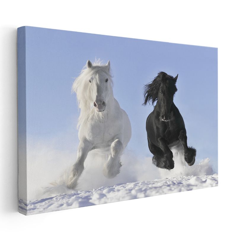 Siyah ve Beyaz Atlar - Karlı Zeminde Özgürce Koşan İkili Kanvas Tablo