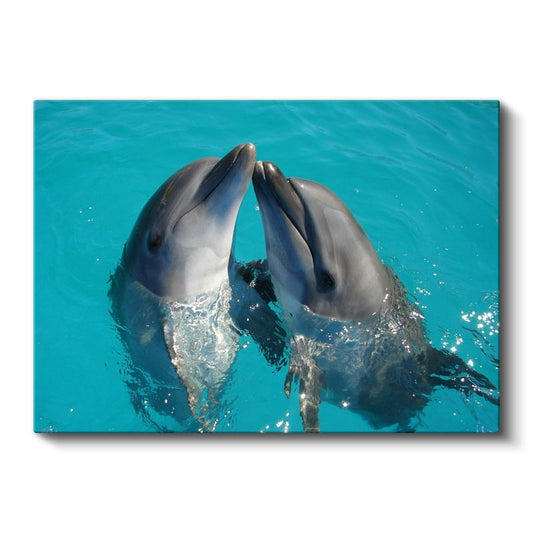 Sevgi Dolu Yunuslar - Turkuaz Suda Buluşma Anı Kanvas Tablo