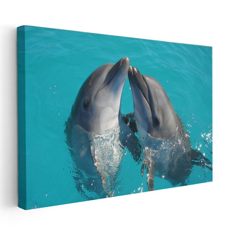 Sevgi Dolu Yunuslar - Turkuaz Suda Buluşma Anı Kanvas Tablo
