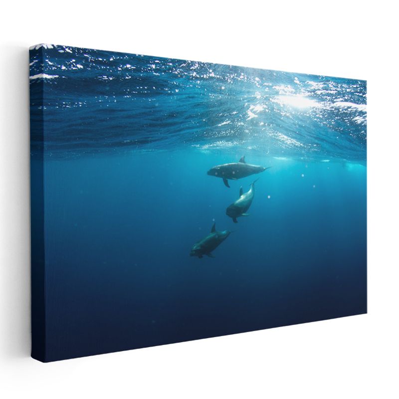 Derin Mavilik - Güneş Işığında Yüzen Yunuslar Kanvas Tablo