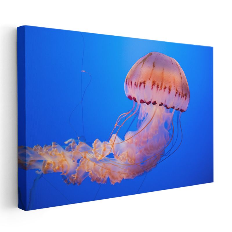 Pembe Denizanası - Mavi Derinliklerde Dans Kanvas Tablo
