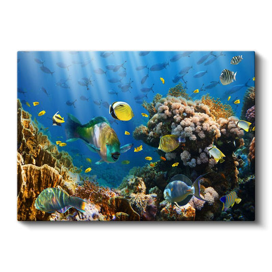 Mercan Cenneti - Renkli Tropikal Balıklar Kanvas Tablo