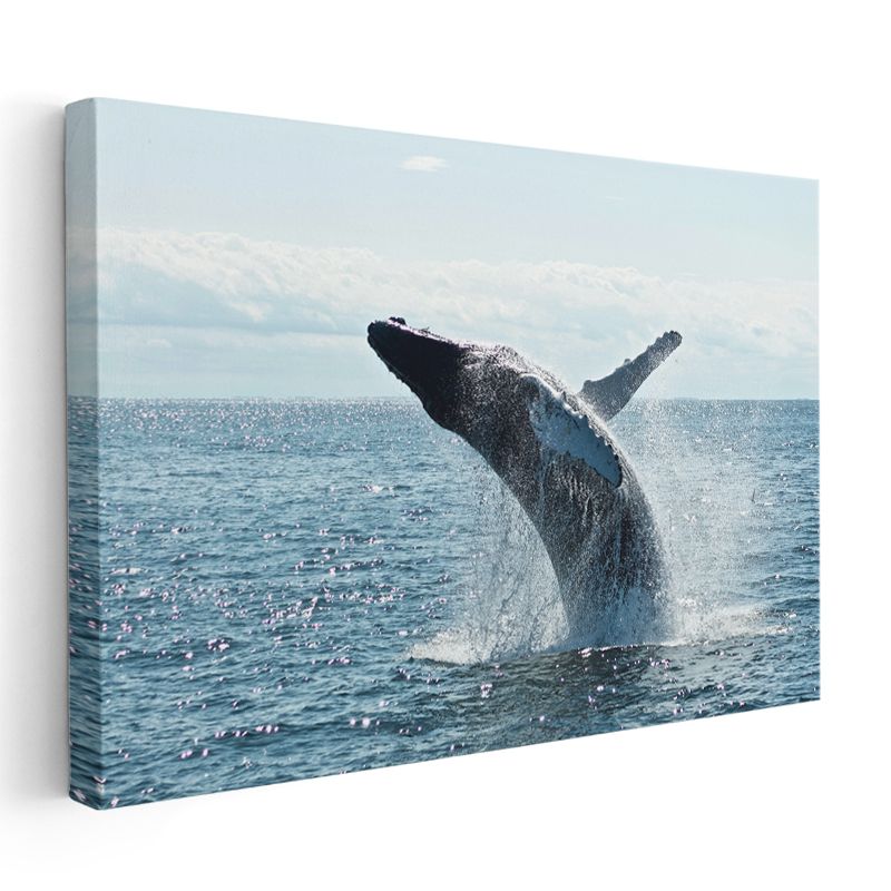 Sıçrayan Balina - Okyanus Dansı Kanvas Tablo