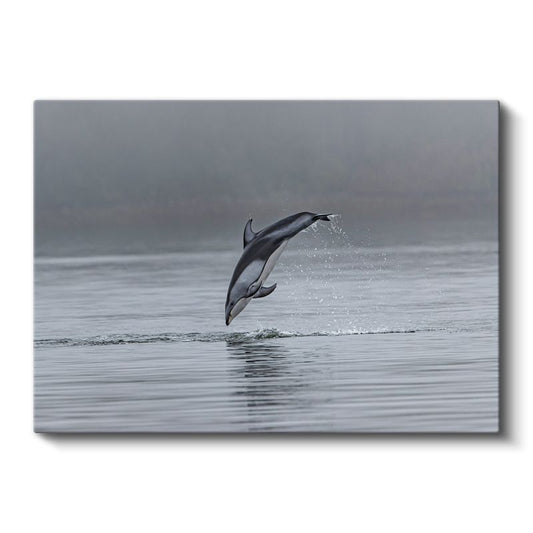 Sıçrayan Yunus - Gri Sularda Özgürlük Anı Kanvas Tablo