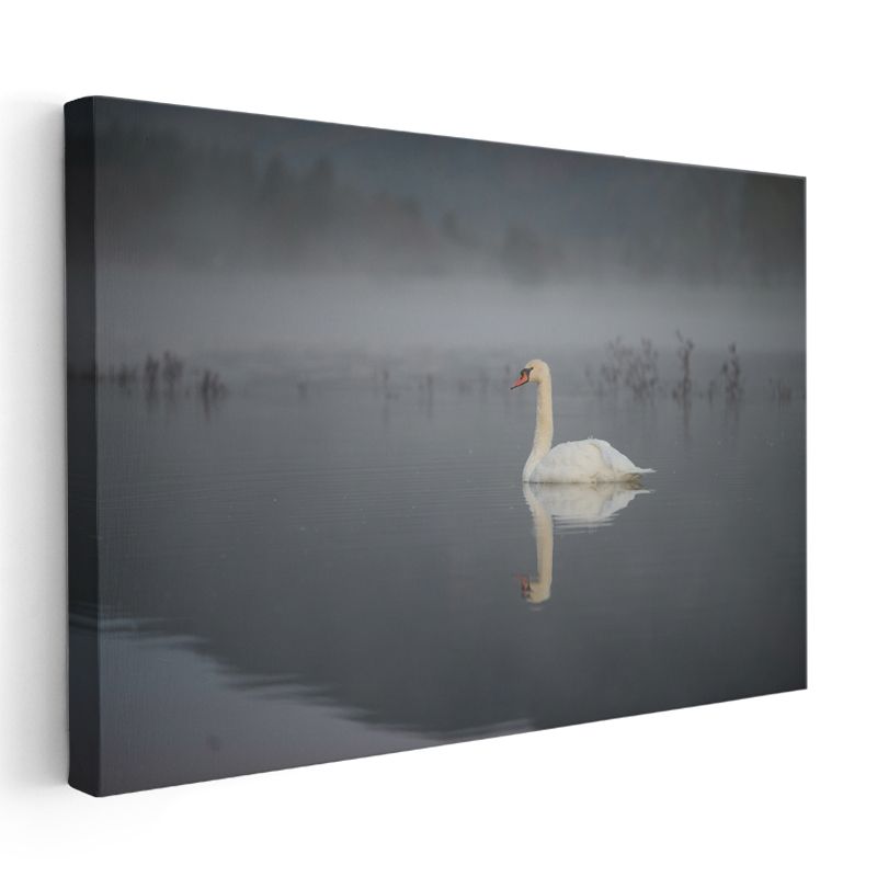 Sisli Göldeki Kuğu - Huzur Dolu Yansıma Kanvas Tablo