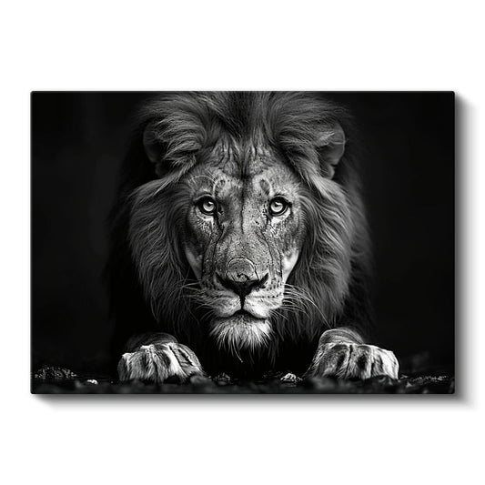 Karşıdan Aslan - Güçlü Bakışlar Kanvas Tablo