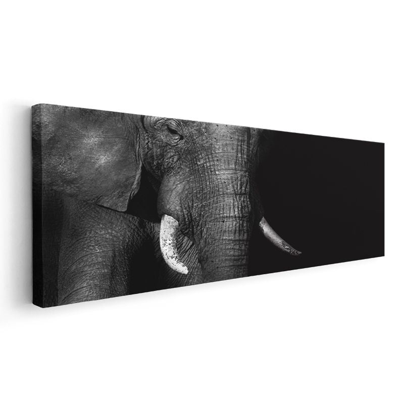 Asil Fil - Siyah Beyaz Dramatik Fil Portresi Kanvas Tablo