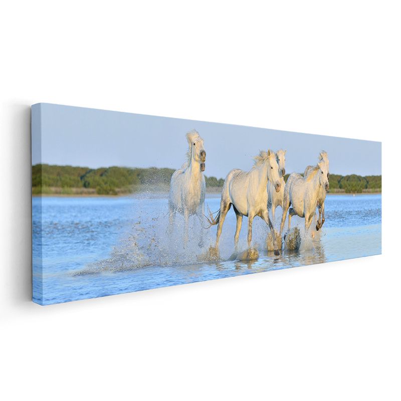 Özgür Atlar - Su İçinde Koşan Beyaz Yabani Atlar Kanvas Tablo