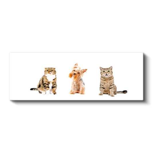 Evcil Dostlar - Sevimli Kediler ve Köpek Üçlüsü Kanvas Tablo