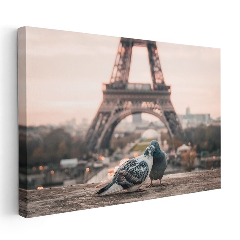 Paris Romantizmi - Eyfel Kulesi ve Güvercinler Kanvas Tablo