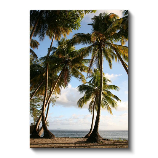 Tropik Sahil - Palmiye Ağaçları ve Altın Kumsal Kanvas Tablo