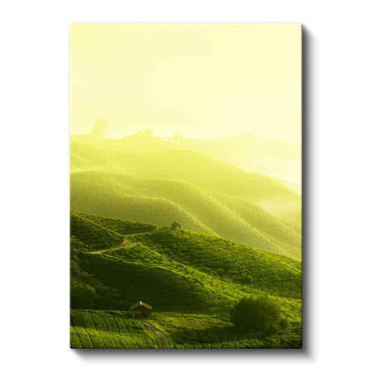 Yeşil Tepeler - Altın Işıkta Parlayan Vadiler Kanvas Tablo