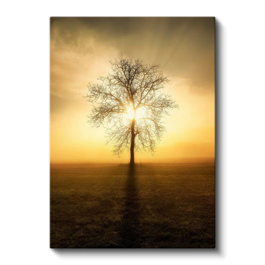 Yalnız Ağaç - Altın Gün Batımı Silüeti Kanvas Tablo