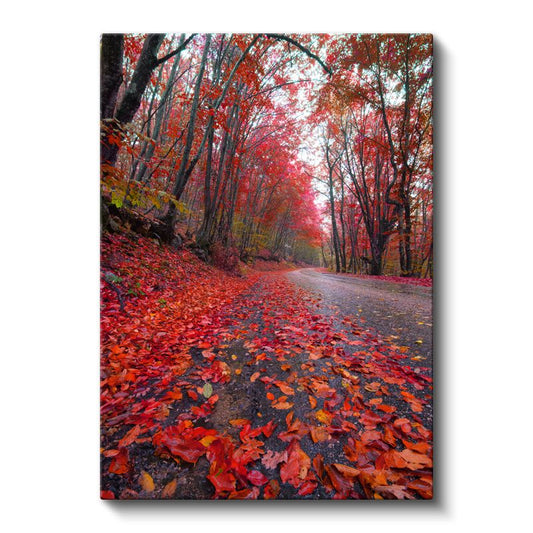Sonbahar Yolu - Kızıl Yapraklarla Bezeli Orman Kanvas Tablo
