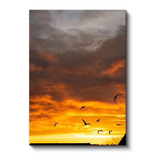Alev Gökyüzü - Özgür Kuşlar Silüeti Kanvas Tablo