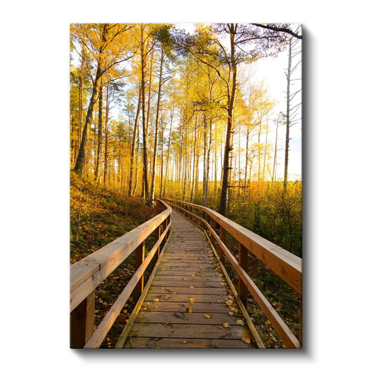 Sonbahar Patikası - Altın Yapraklar Arasında Yolculuk Kanvas Tablo