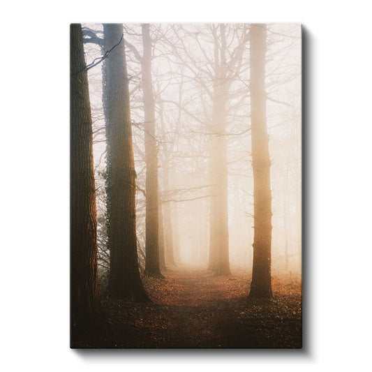Sisli Orman - Ağaçlar Arasında Altın Işık Kanvas Tablo