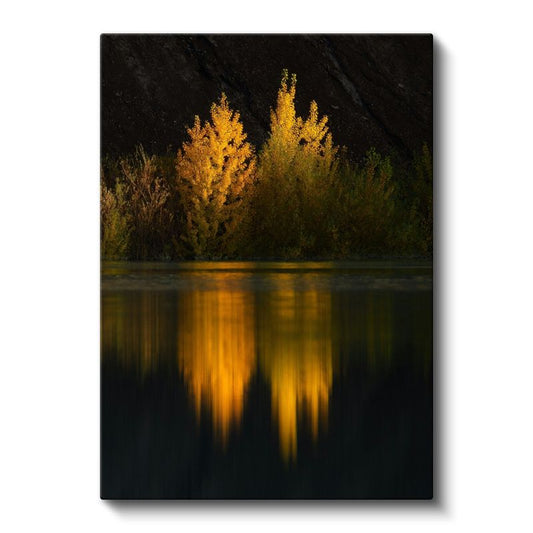 Sonbahar Yansıması - Altın Sarısı Ağaçlar Kanvas Tablo