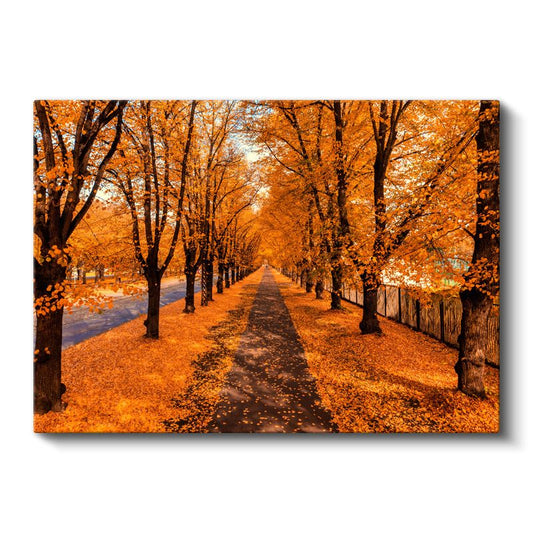Sonbahar Yolu - Altın Sarısı Yapraklarla Kaplı Patika Kanvas Tablo