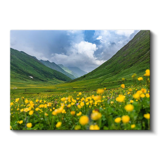 Yeşil Vadi - Sarı Çiçeklerle Süslenmiş Dağ Yamacı Kanvas Tablo