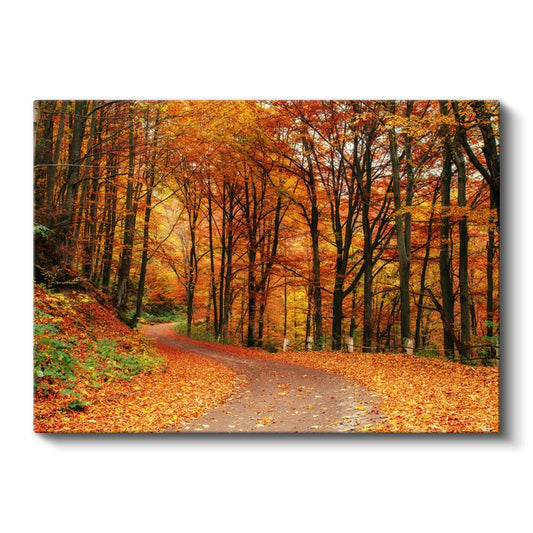 Turuncu Düşler - Sonbahar Yapraklarıyla Kaplı Orman Yolu Kanvas Tablo