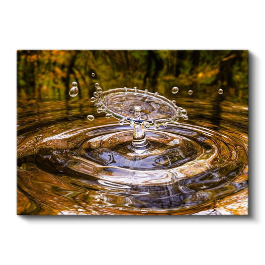 Su Damlası - Doğanın Muhteşem Detayı Kanvas Tablo