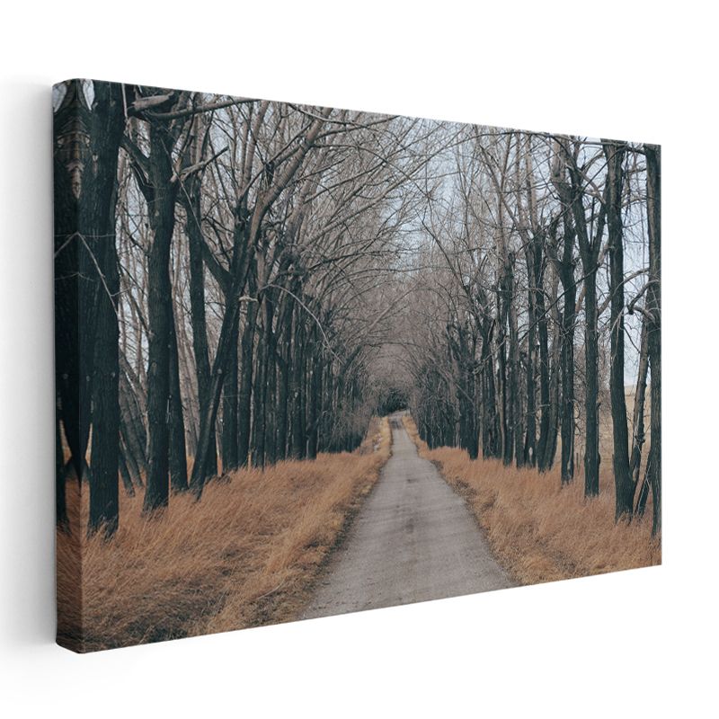 Ağaçlı Patika - Sonbaharın Huzur Veren Yolculuğu Kanvas Tablo