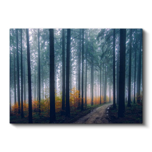 Sisli Orman - Sonbahar Patikası Kanvas Tablo
