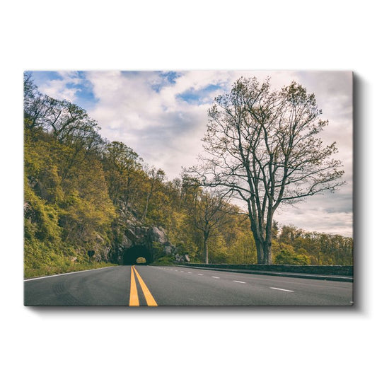 Sonbahar Yolu - Altın Yapraklar ve Tünel Kanvas Tablo