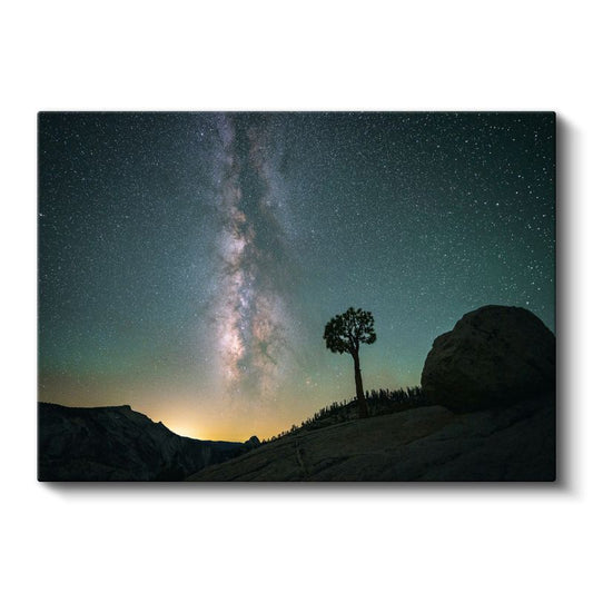 Samanyolu İhtişamı - Yalnız Ağaç ve Yıldızlı Gökyüzü Kanvas Tablo
