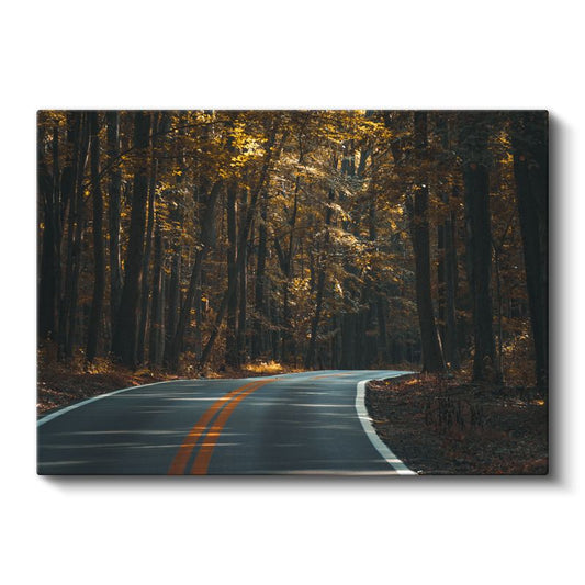 Sonbahar Orman Yolu - Altın Yapraklı Ağaçlar Arasında Kıvrılan Patika Kanvas Tablo