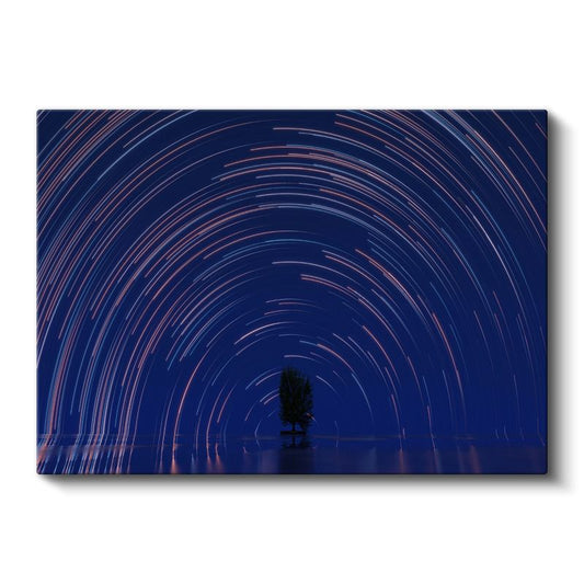 Yıldız İzleri - Gece Gökyüzünde Yalnız Ağaç Kanvas Tablo