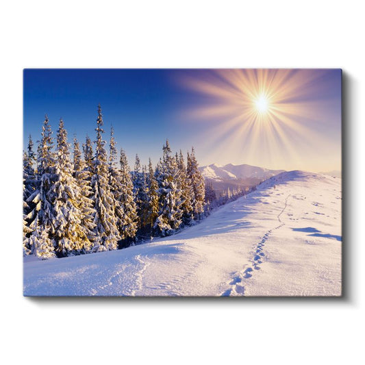 Kış Güneşi - Karlı Çam Ormanı Manzarası Kanvas Tablo
